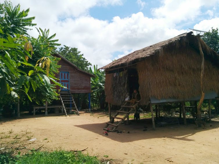 Contemporary dwellings in Cambodia built on stilts