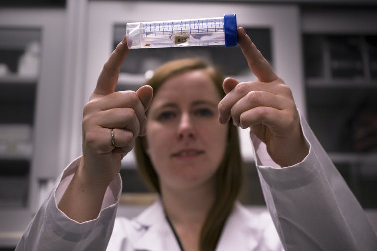 A person wearing a lab coat holds up a test tube in front of their face. The test tube is in focus.