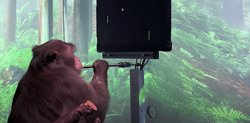 Neuralink's monkey can play Pong with its mind. Imagine what humans could do with the same technology