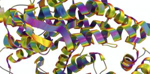 When researchers don't have the proteins they need, they can get AI to 'hallucinate' new structures