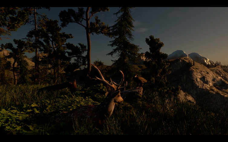 a screenshot of a digitally rendered wilderness with a deer