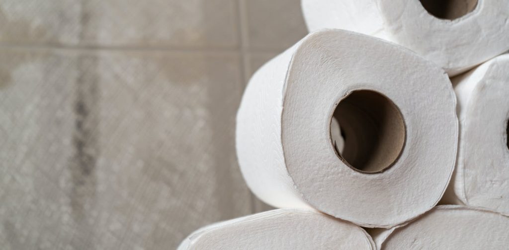 A toilet paper run is like a bank run. The economic fixes are about the same