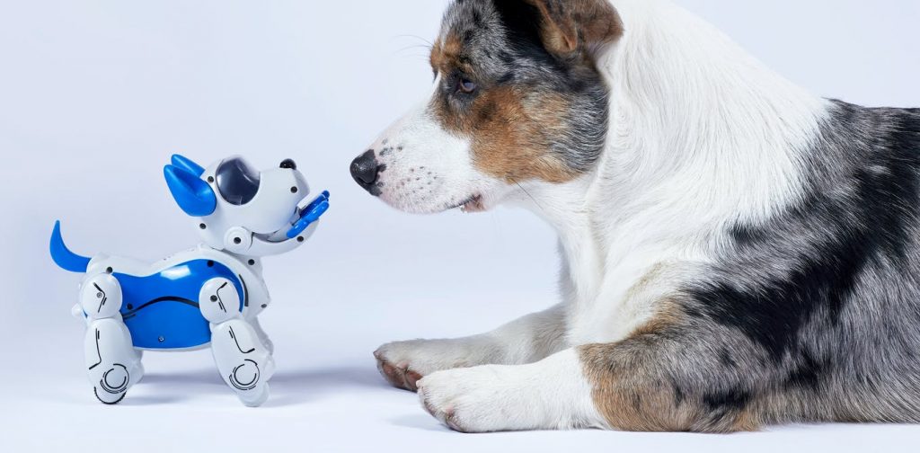 Don't try to replace pets with robots — instead, design robots to be more like service animals