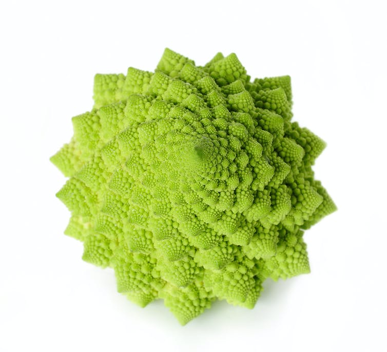 Green cauliflower in many-pointed star shape with spiral patterns.