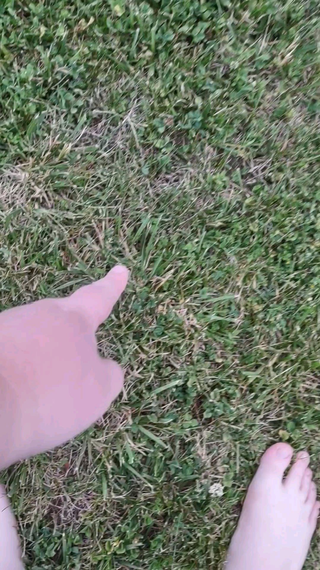 I touched grass today, almost died