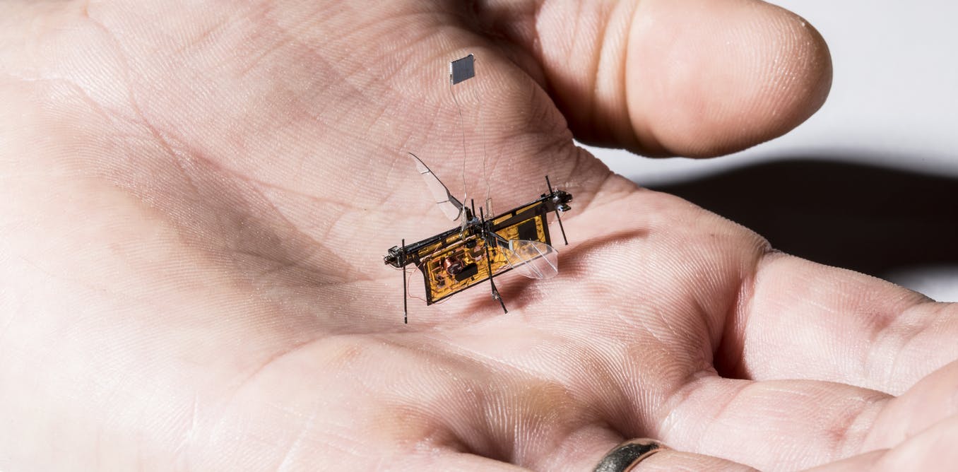 Five of the world's tiniest robots