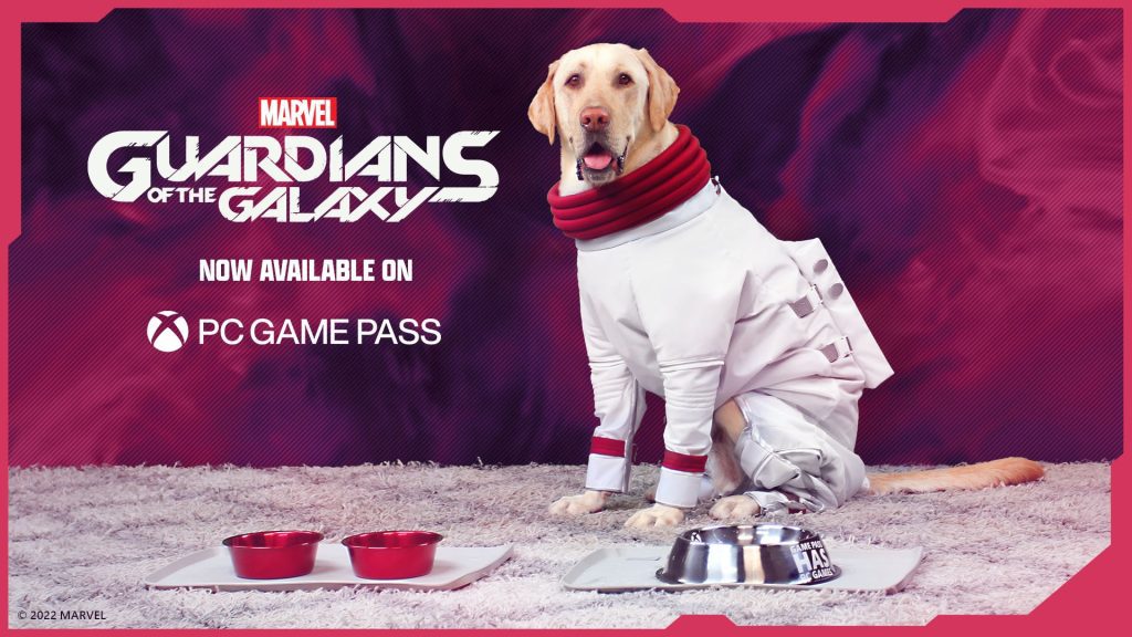 Video For Join Milo the Dog as We Play Marvel’s Guardians of the Galaxy and Raise Money for SPCA International