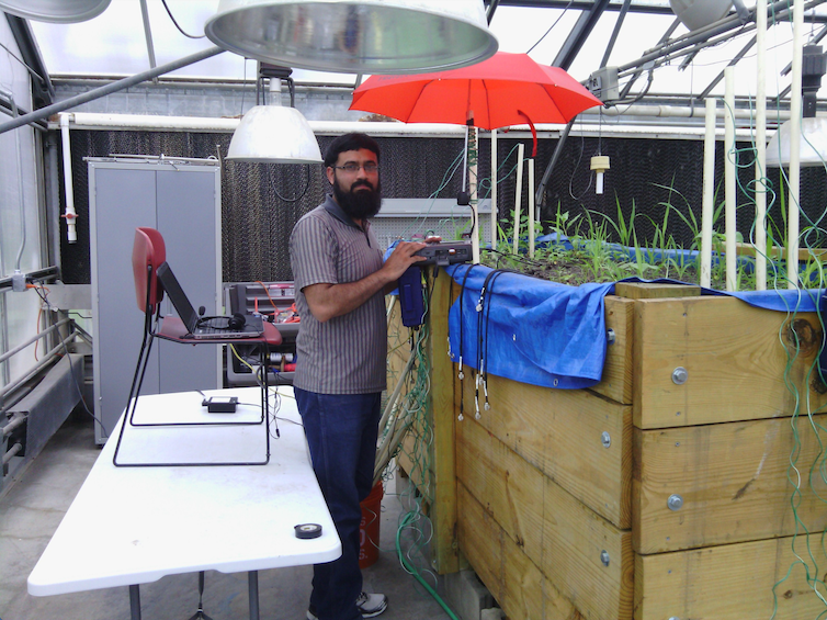 A scientist stands next to a wood-framed test bed containing equipment embedded in soil