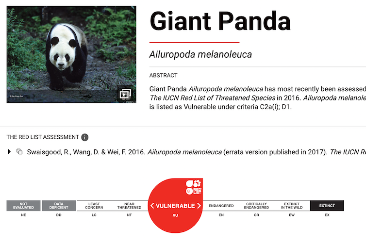 Giant Panda webpage on IUCN Red List