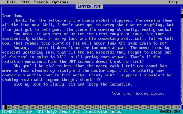 The joke is that this was a real text editor in the day. Which people used. Willingly.