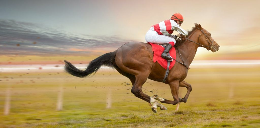 The horseracing industry is ignoring what science says about whipping