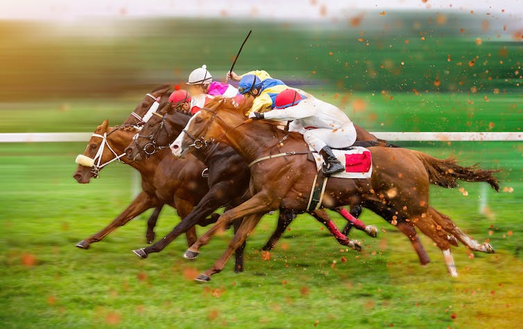 Horses race down a grass track