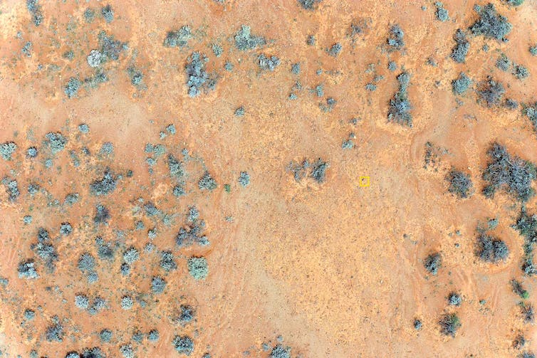 An aerial view of a desert field with a black dot (a meteorite) highlighted by a yellow square.