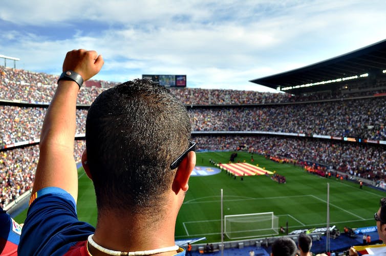 Soccer fan raising fist while watching soccer match