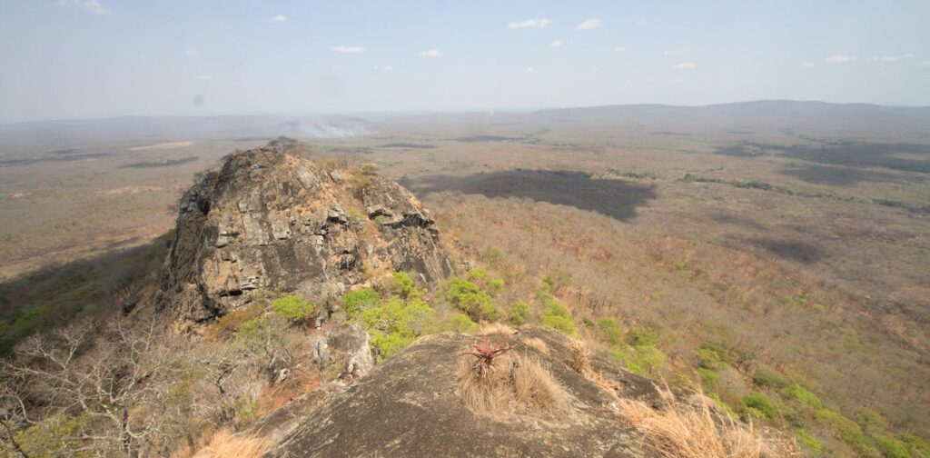 It'll take 150 years to map Africa's biodiversity at the current rate. We can't protect what we don't know