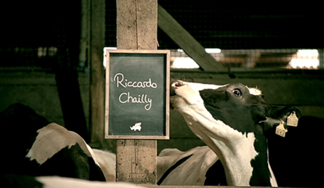 What cows and classical music teach about making products in a memorable experience