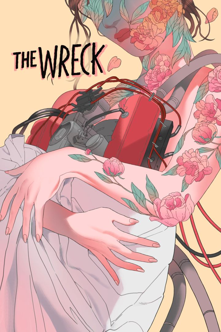 The Wreck Box Art Asset