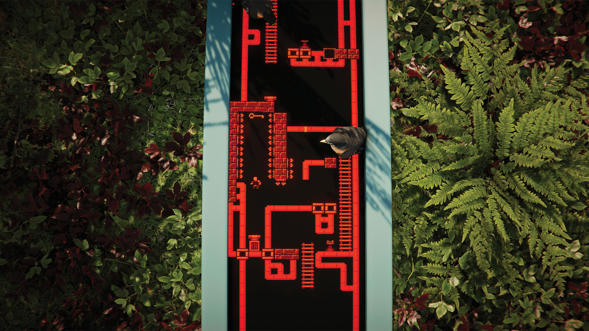 circuit board