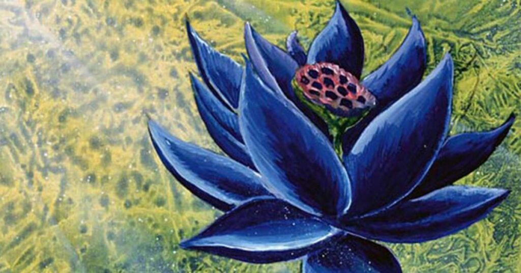 Magic: The Gathering Black Lotus card sells for a record $540,000