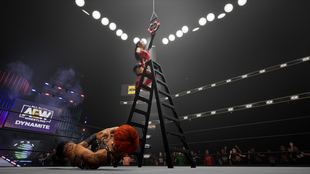 How High is Too High? Ladder Matches in AEW: Fight Forever