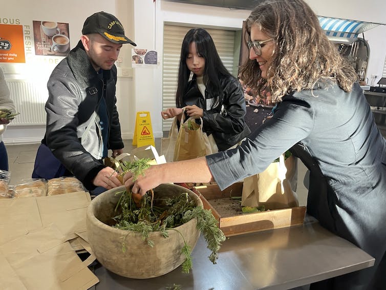 Students planting plants