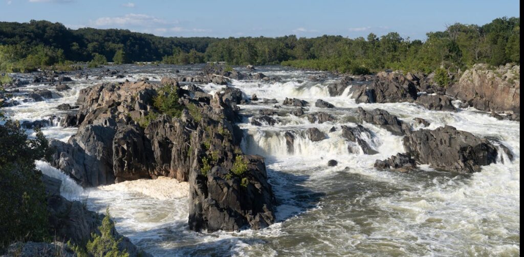 As climate change warms rivers, they are running out of breath – and so could the plants and animals they harbor