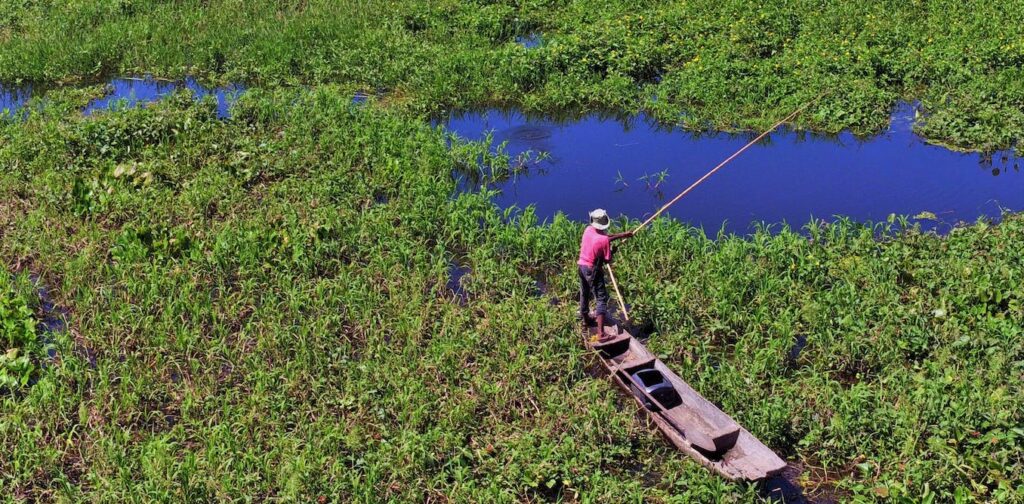 Sustainable use of natural resources: lessons from Pantanal communities