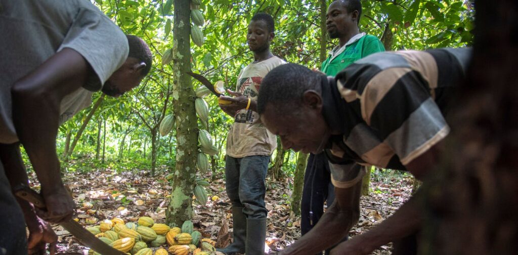 Traditional farming knowledge should be stored for future use: the technology to do this is available