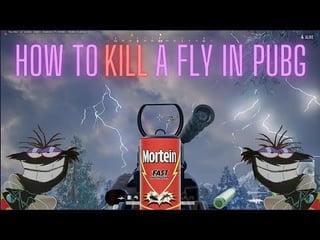 How to kill a fly in Pubg