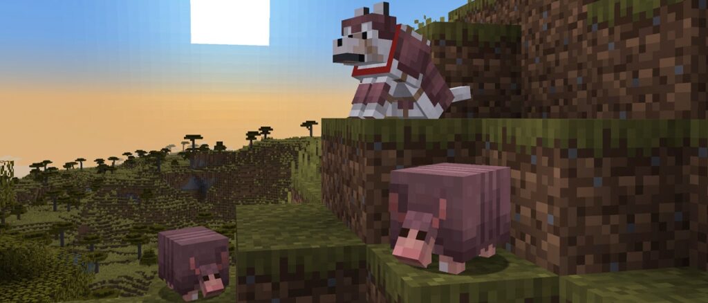 This screenshot shows an early version of the armadillo and a wolf clad in wolf armor, are both coming to pre-release versions of Minecraft soon for testing!