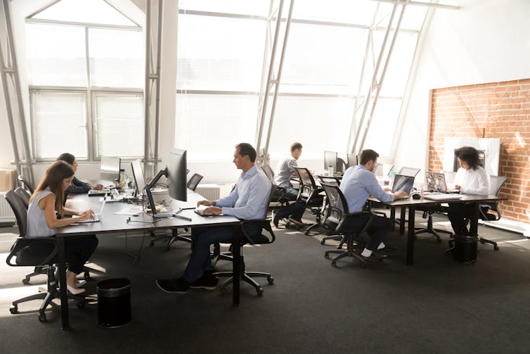 People sat at desks using computers in an office.