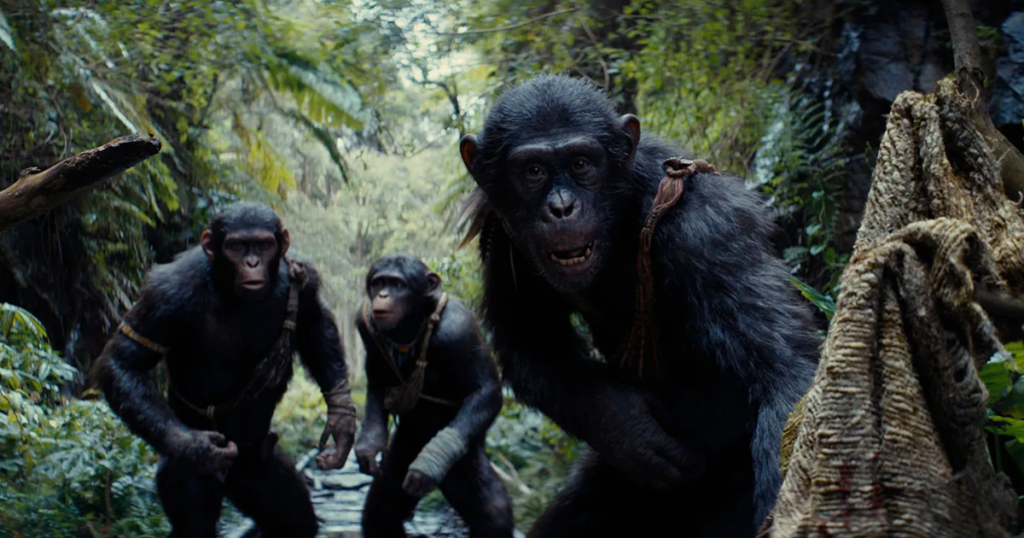 Believe it or not, Kingdom of the Planet of the Apes was mostly shot outside of blue-screen sets