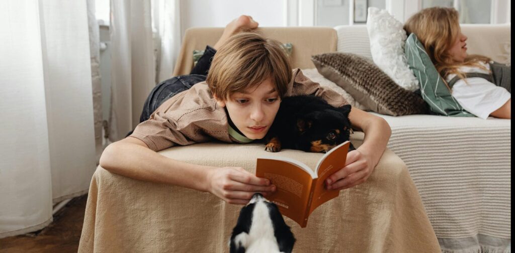 From ‘Fiction Fanatic’ to ‘Book Abstainer’: which type of reader is your teenager?