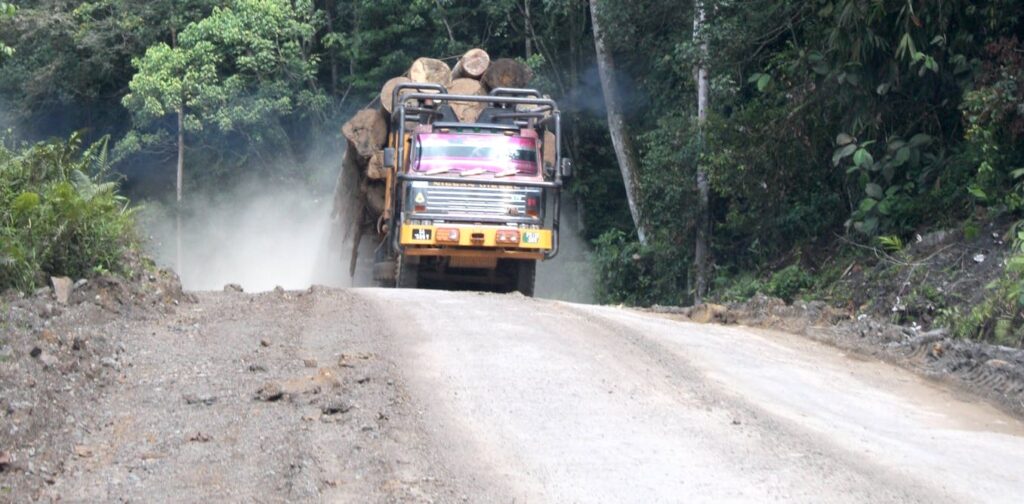 Roads of destruction: we found vast numbers of illegal ‘ghost roads’ used to crack open pristine rainforest