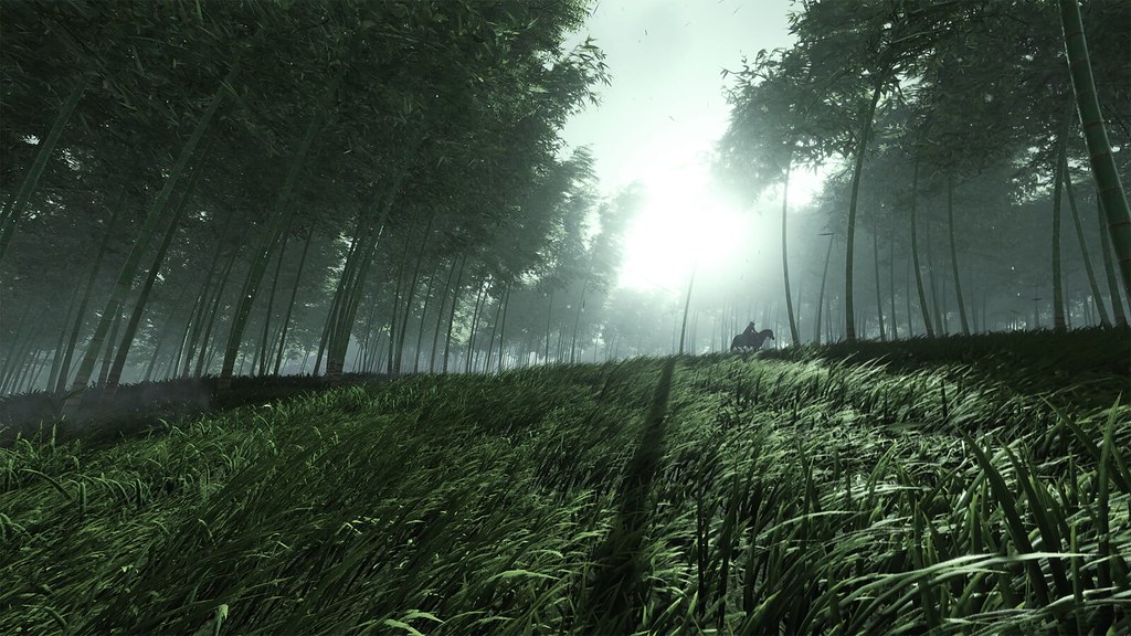 This image is a wide shot of a bamboo forest, trees bending in the wind. A figure on horseback trots underneath the canopy.