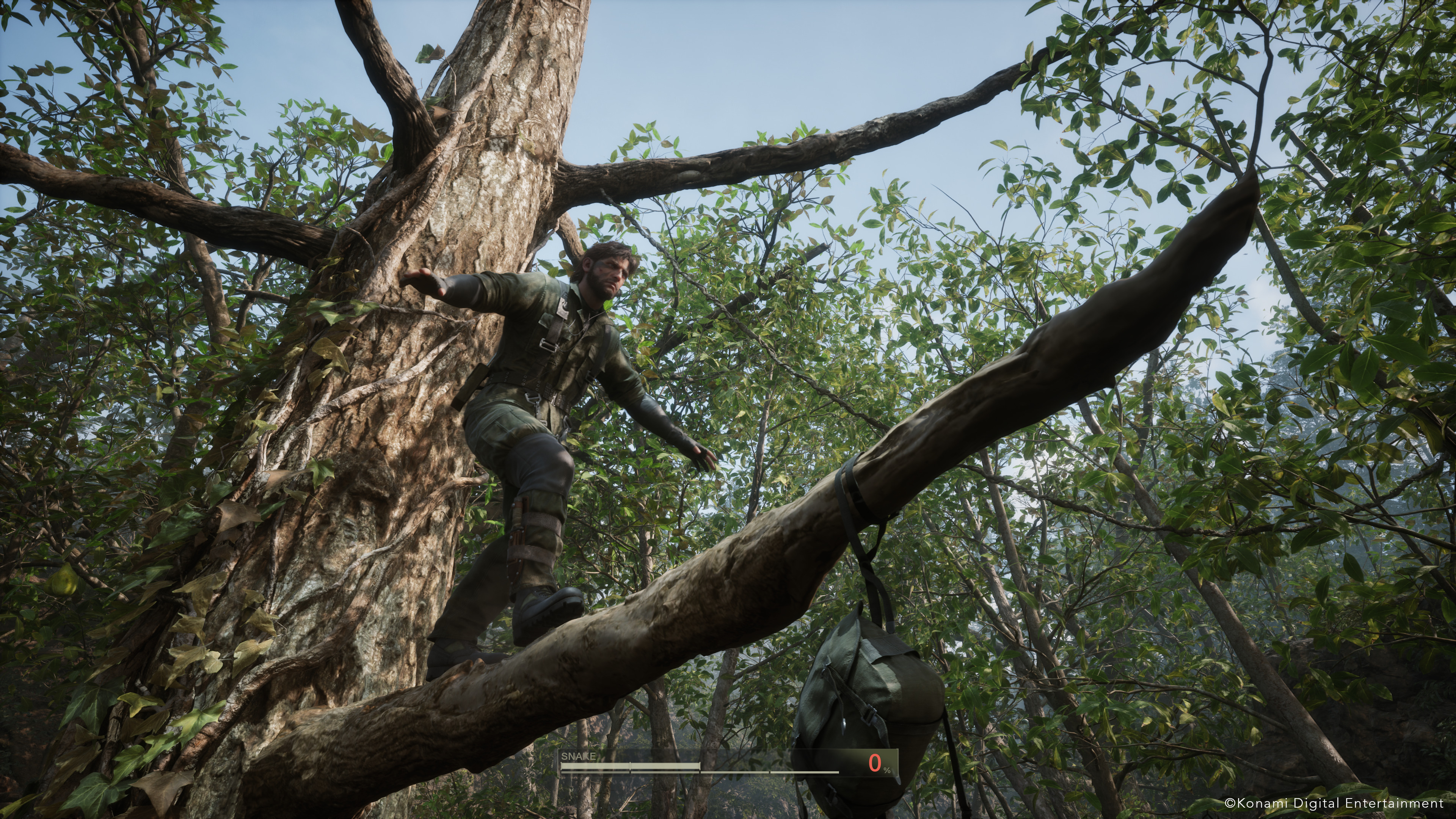 Naked Snake tiptoes along a tree branch.