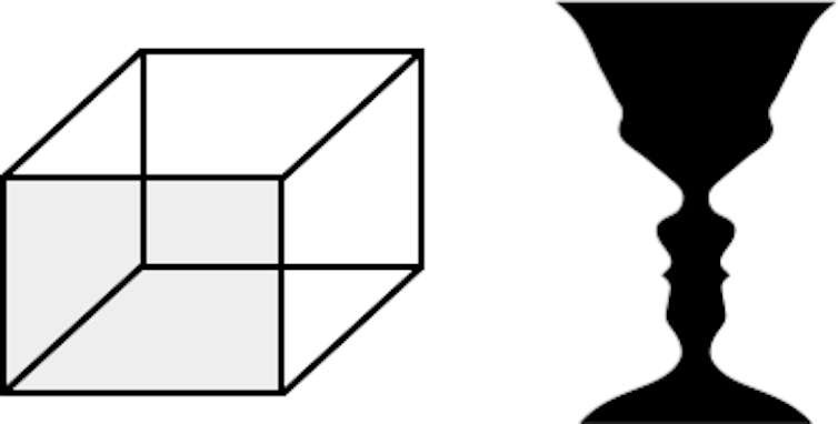 Illustration of Necker cube and Rubin's vase optical illusions.