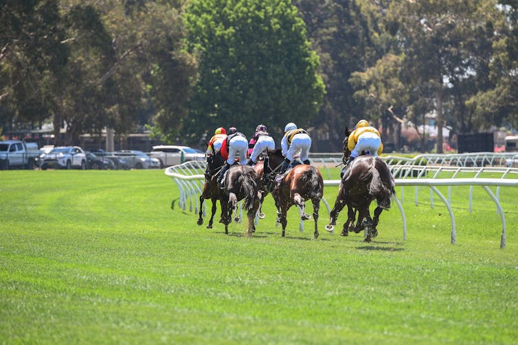 Horse racing in AUstralia