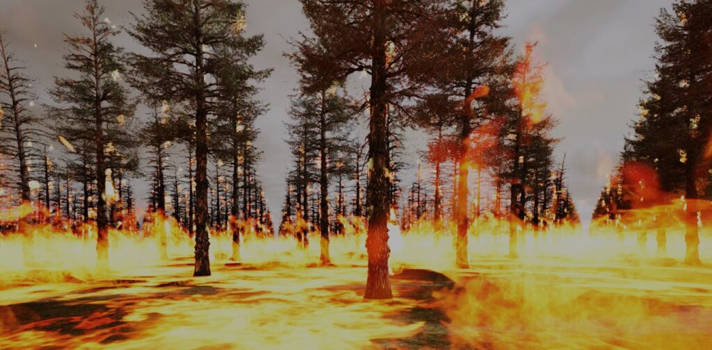 A new immersive cinema is helping firefighters to better prepare for megafires