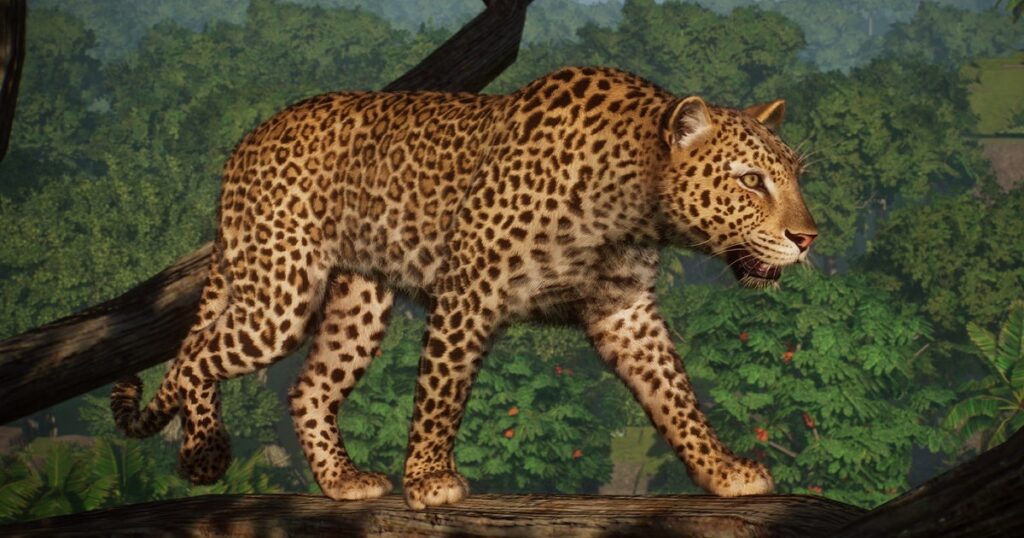 Planet Zoo celebrates fifth birthday with more DLC and a free leopard